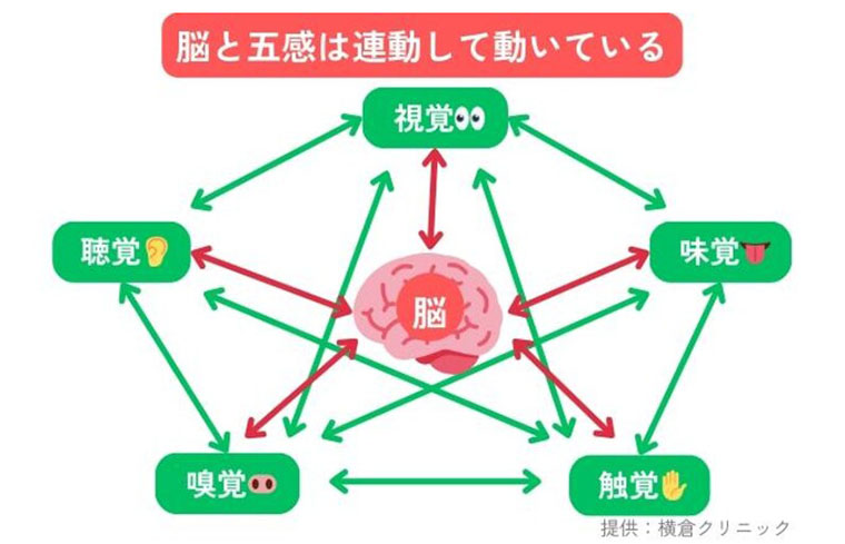 脳と五感(横倉クリニック)