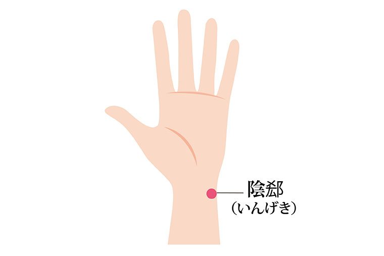 陰郄_ツボ