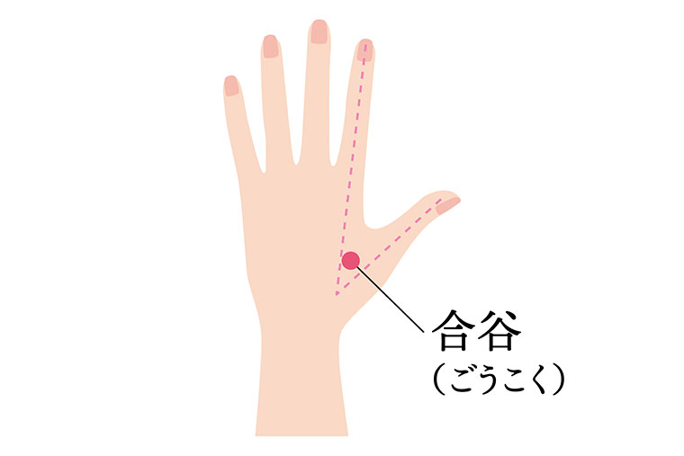 合谷_ツボ