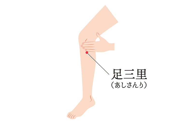 足三里_ツボ