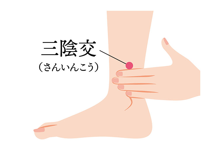 三陰交_ツボ