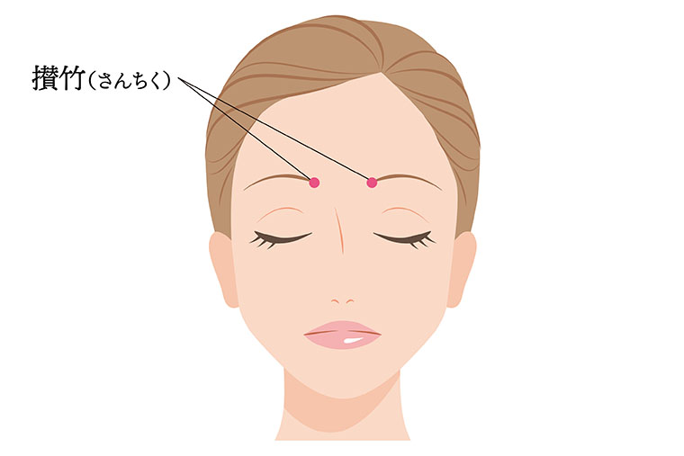 ツボ_攅竹