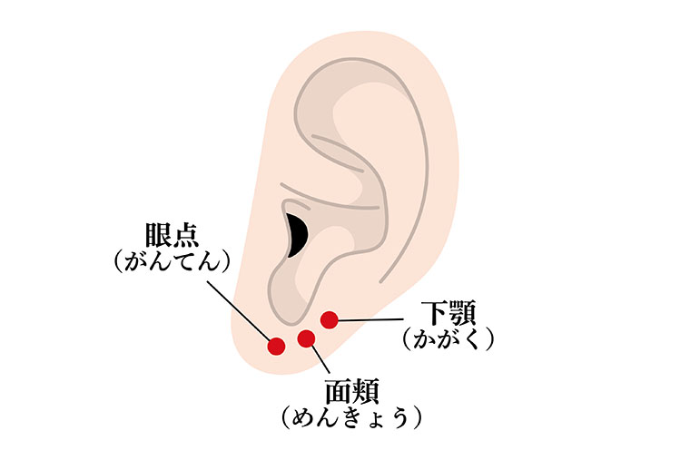 ツボ_眼点、下顎、面頬